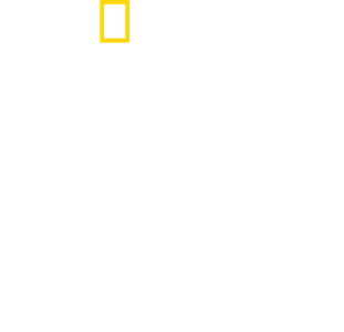 黃石國家公園