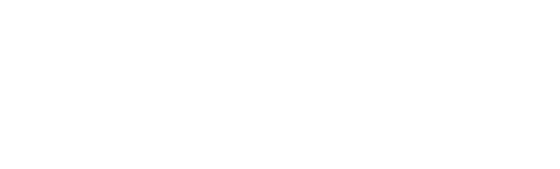 Gio Reyna American Dream
