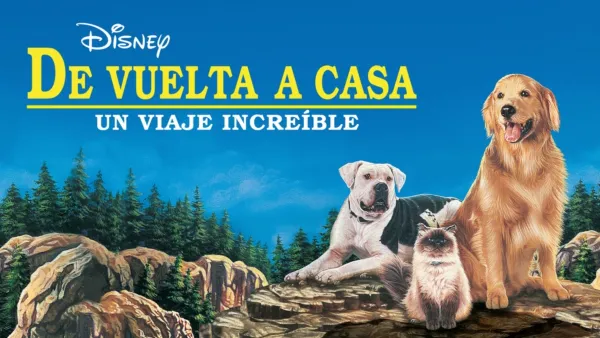 thumbnail - De vuelta a casa: un viaje increíble