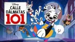 thumbnail - Calle Dálmatas 101