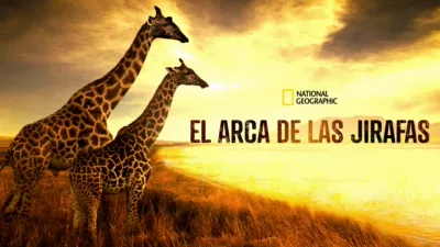 El arca de las jirafas