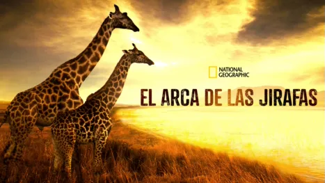 thumbnail - El arca de las jirafas