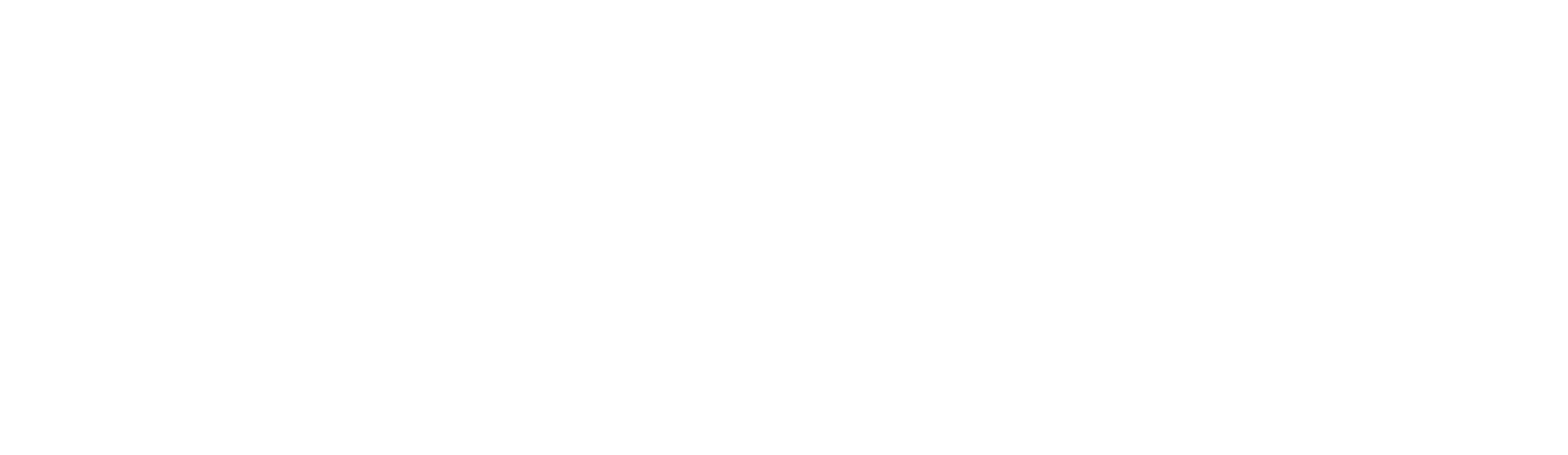 地下房客