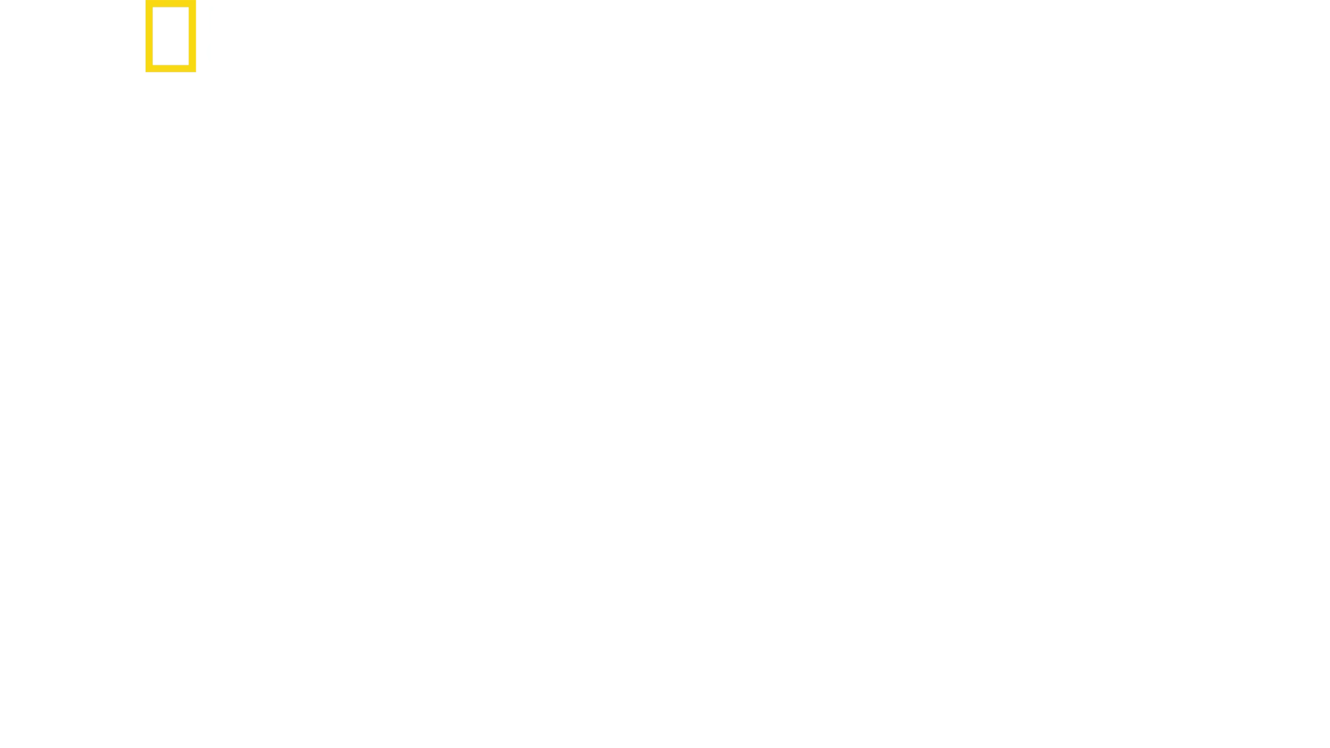버티 그레고리의 샤크 클로즈 업