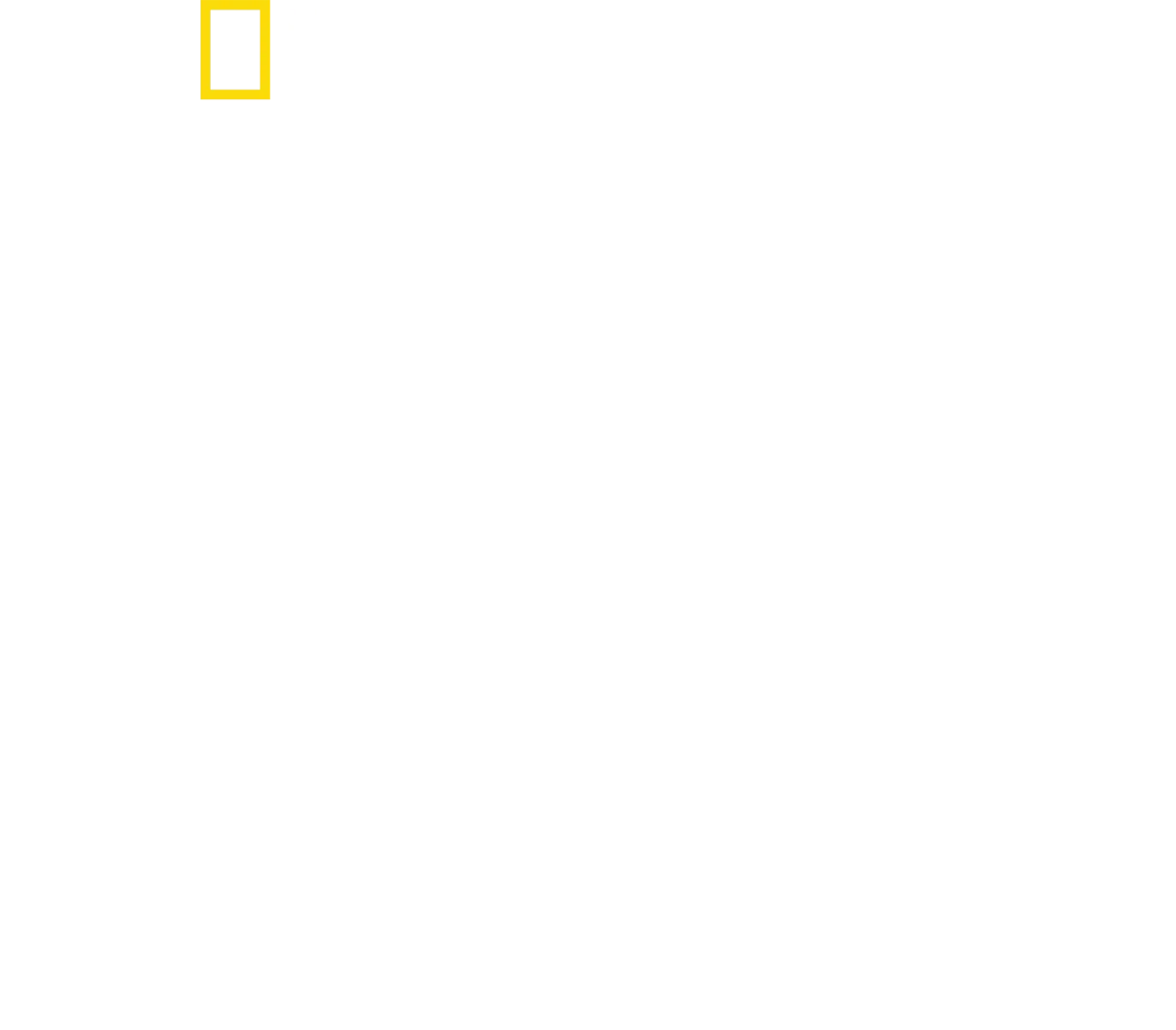 버티 그레고리의 샤크 클로즈 업