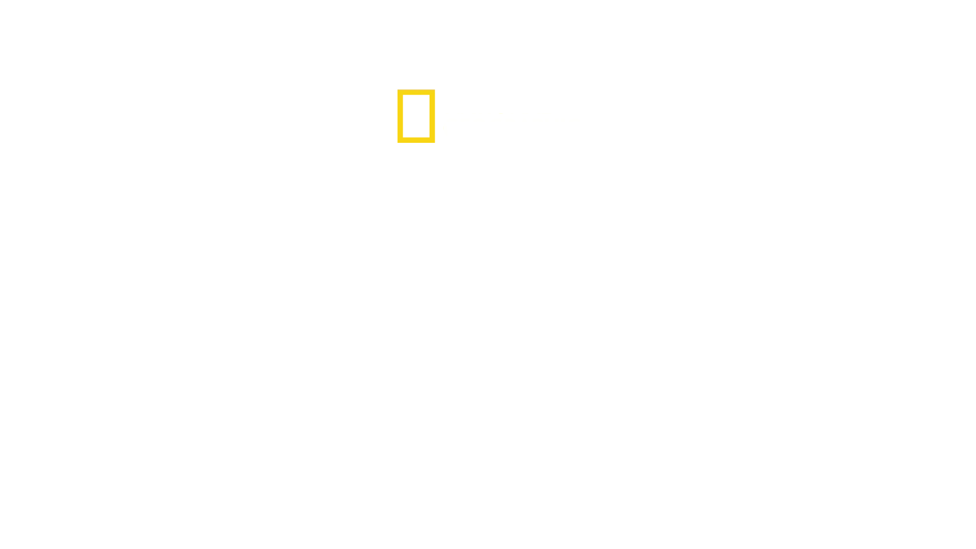 El tiburón más peligroso