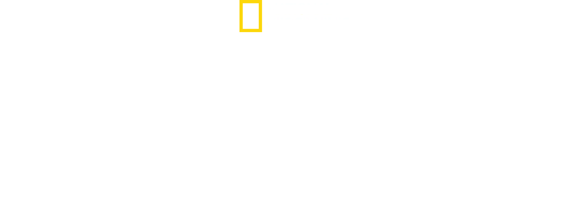 El tiburón más peligroso