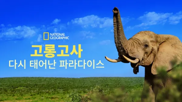 thumbnail - 고롱고사: 다시 태어난 파라다이스