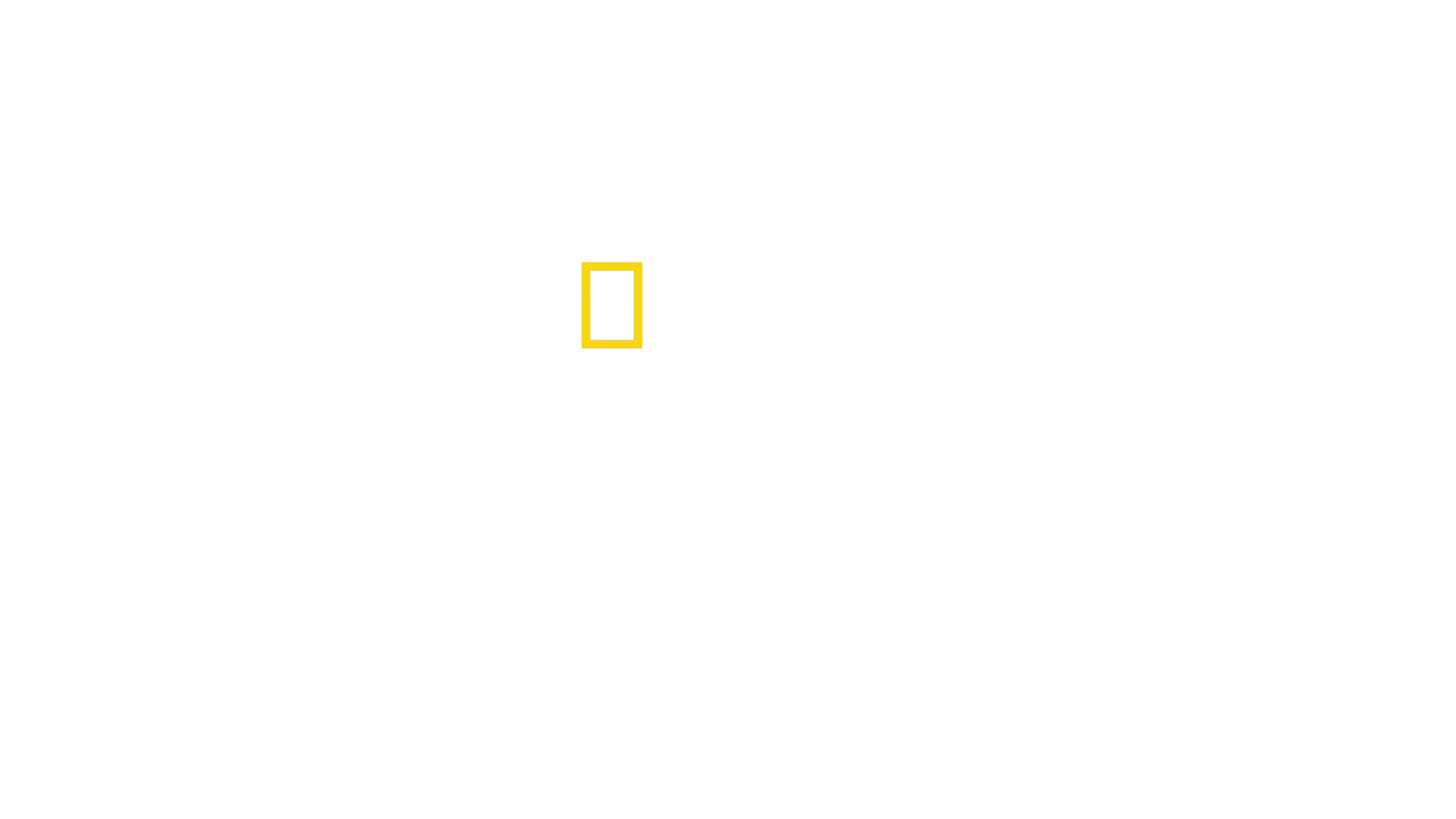 安東尼麥基的鯊魚奇遇
