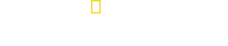 安東尼麥基的鯊魚奇遇