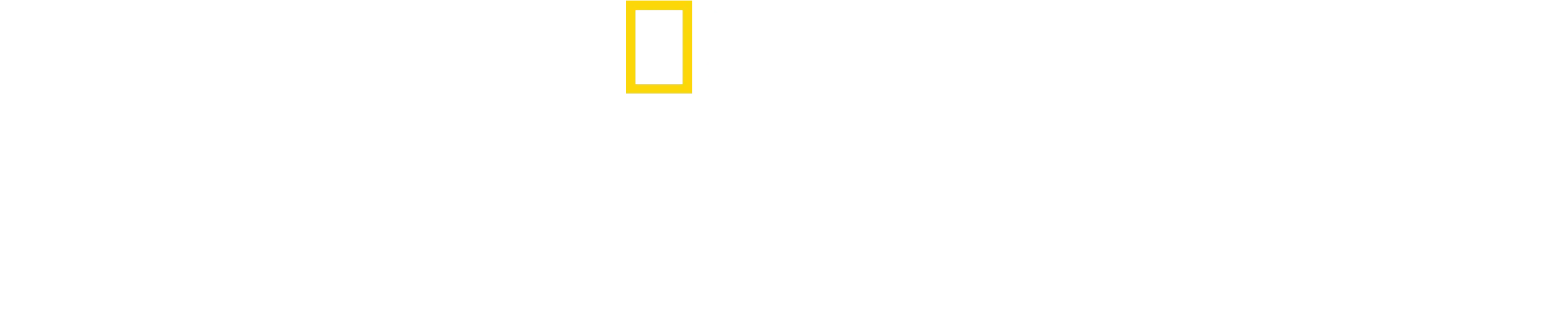 安東尼麥基的鯊魚奇遇