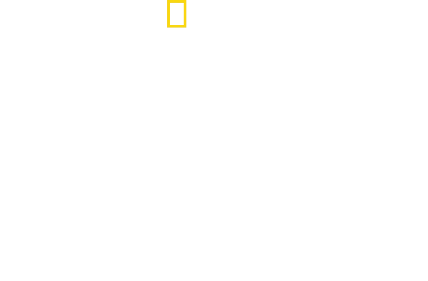 The Stanford Prison Experiment: Unlocking the Truth