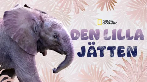 thumbnail - Den lilla jätten