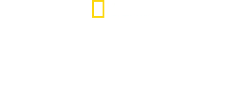 インパクト with ガル・ガドット