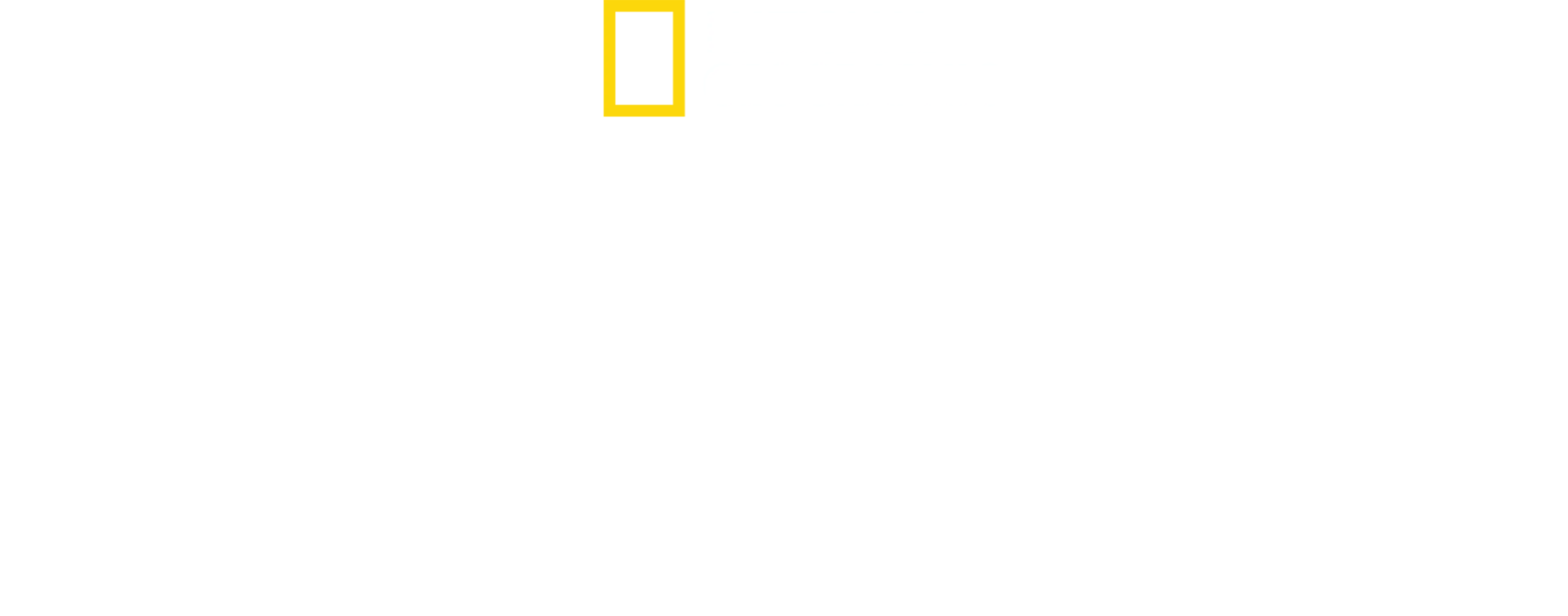 インパクト with ガル・ガドット