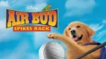 thumbnail - Air Bud: Spikes Back