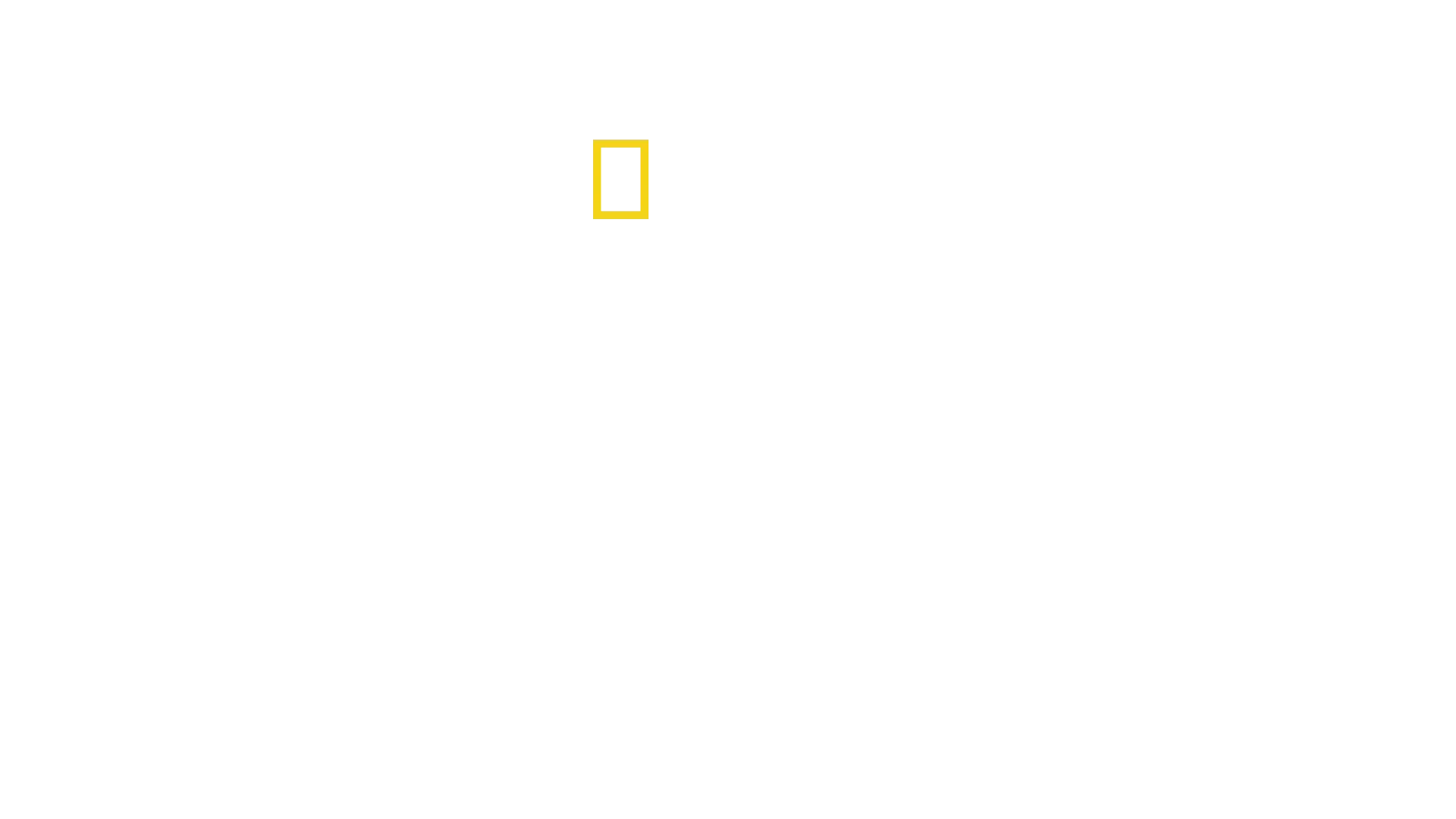Africa's Deadliest