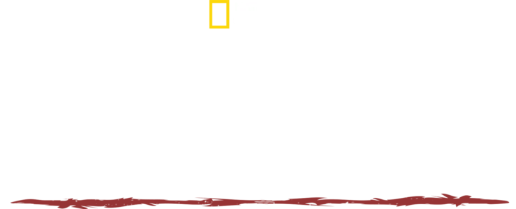 À l'épreuve d'une tribu