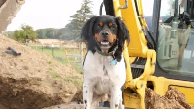 thumbnail - S1:E5 The New Flock