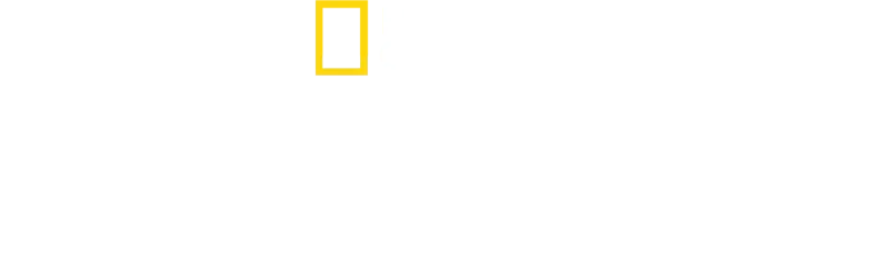 SUGARCANE／シュガーケイン