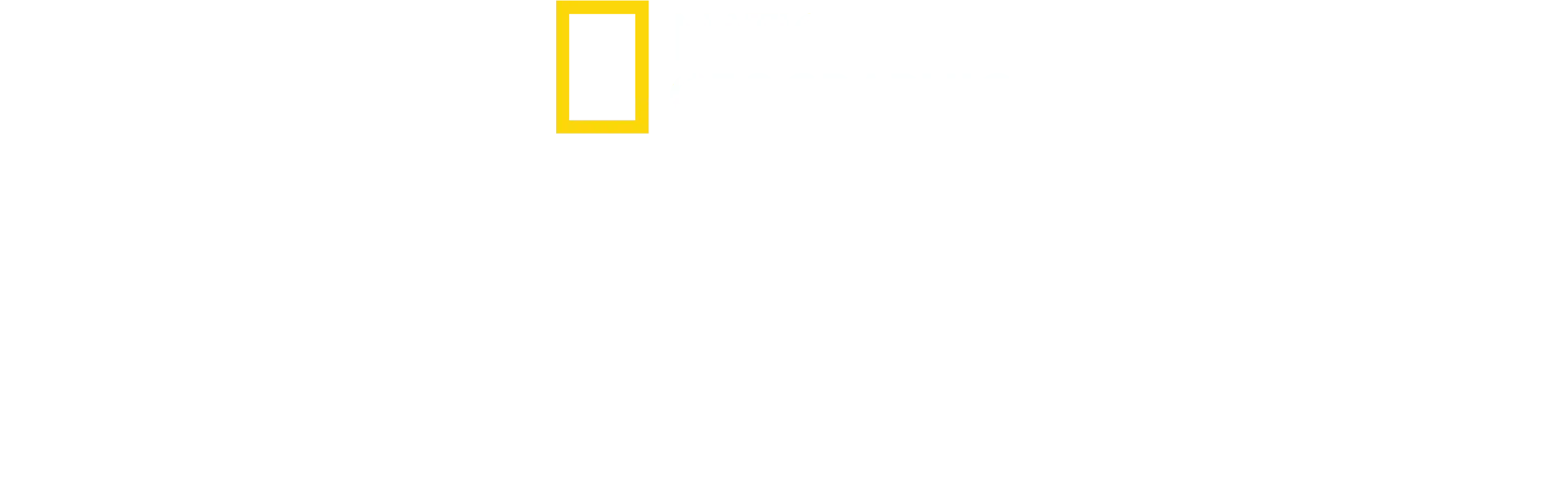 SUGARCANE／シュガーケイン