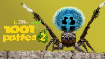 1001 vraies pattes