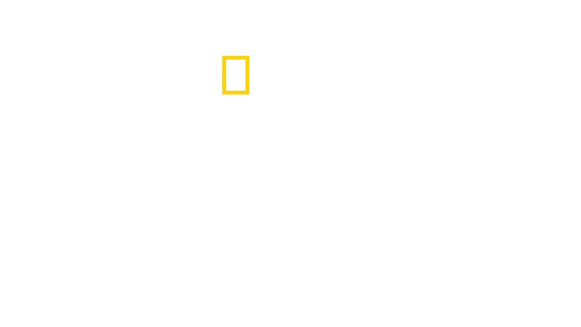 Hitler, o viciado