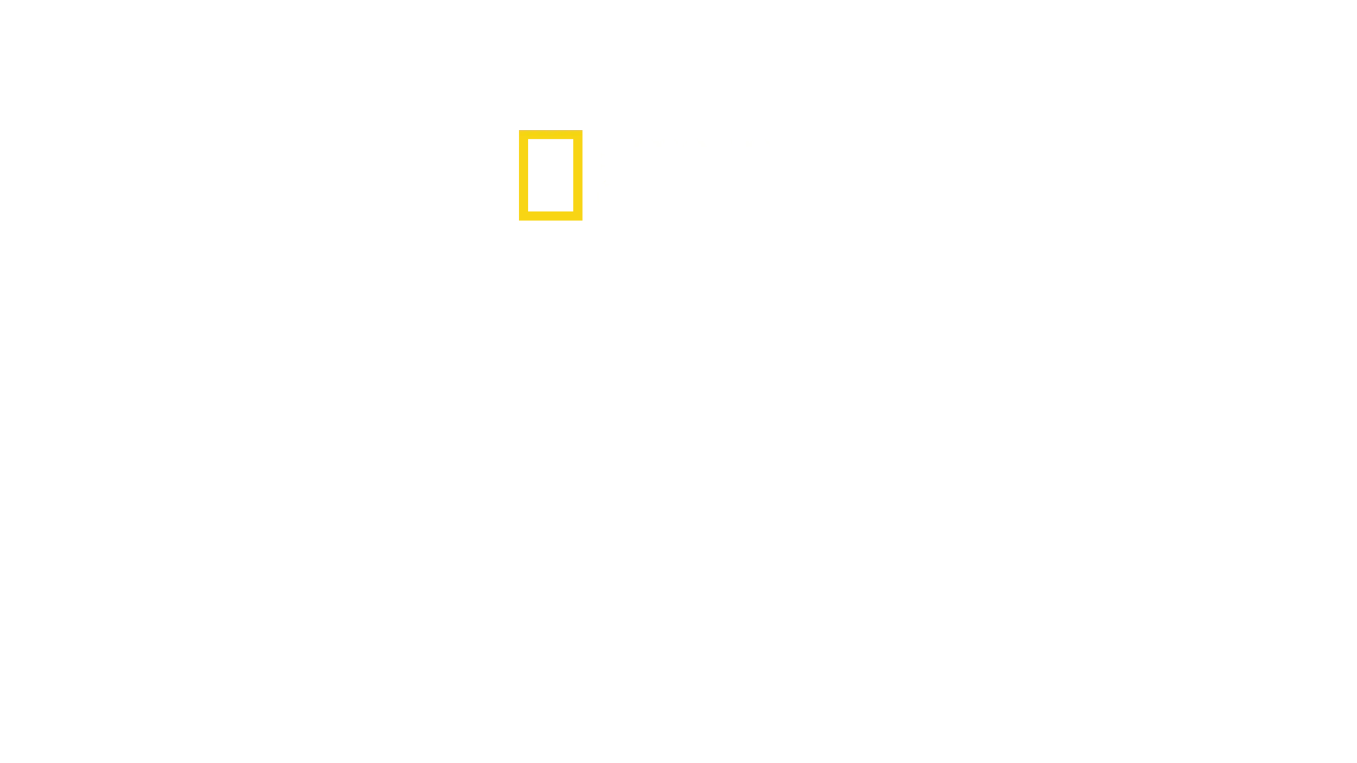 Hitler, o viciado