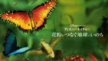 thumbnail - 花粉がつなぐ地球のいのち