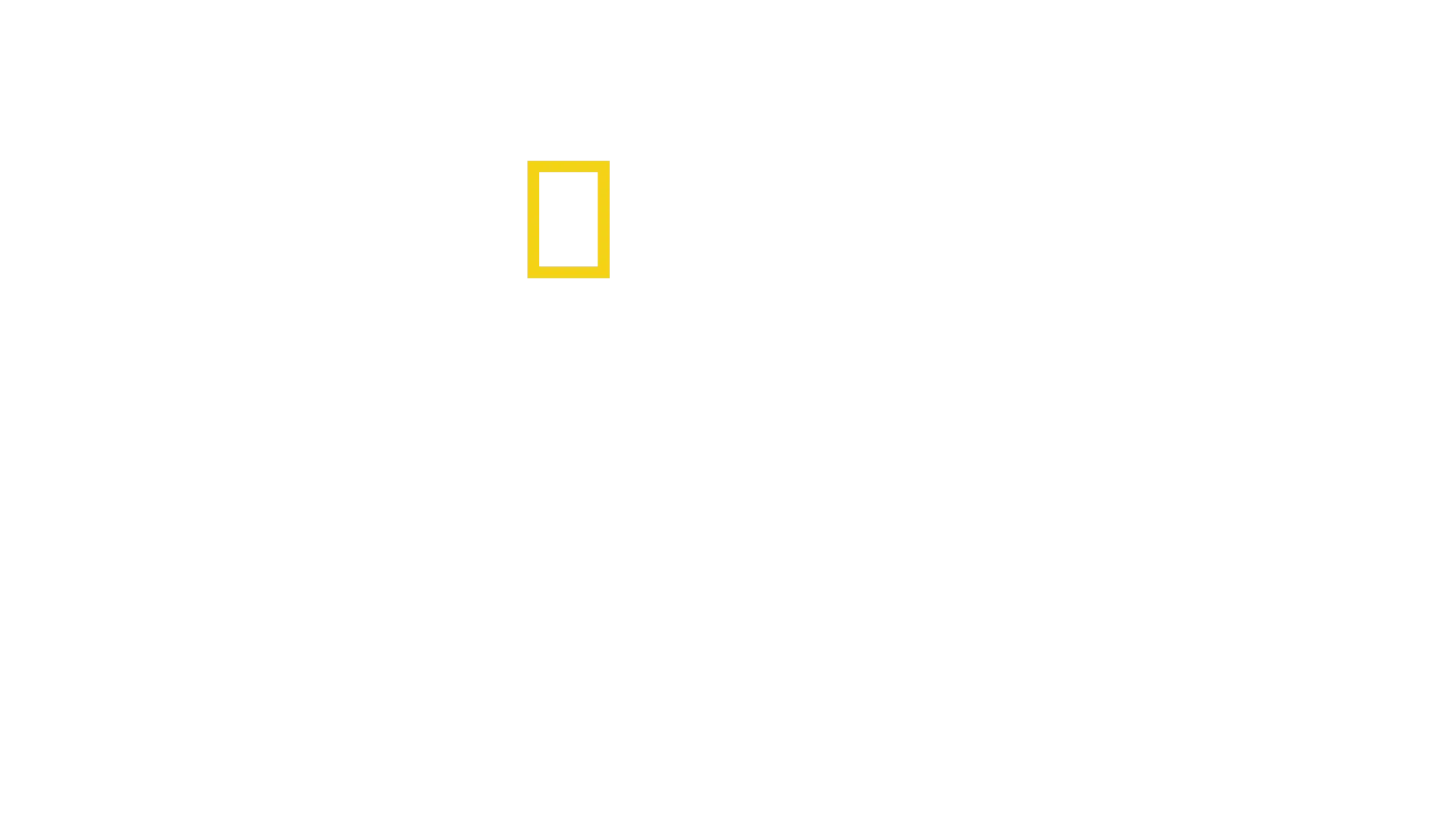 大象的秘密