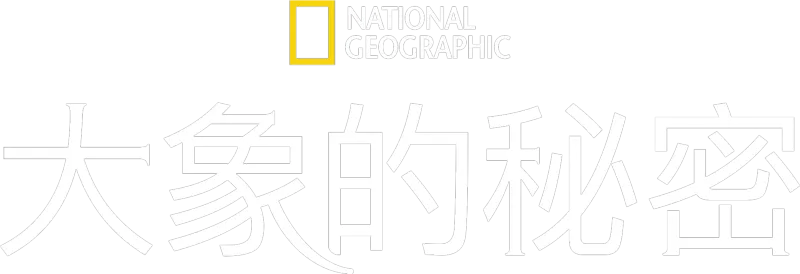 大象的秘密