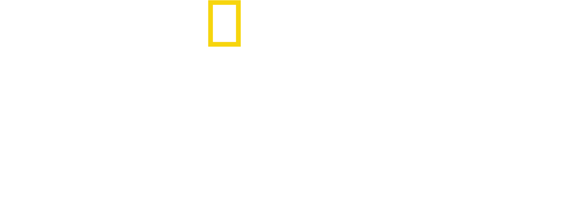大象的秘密