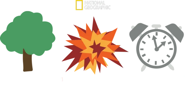 Nature Boom Time