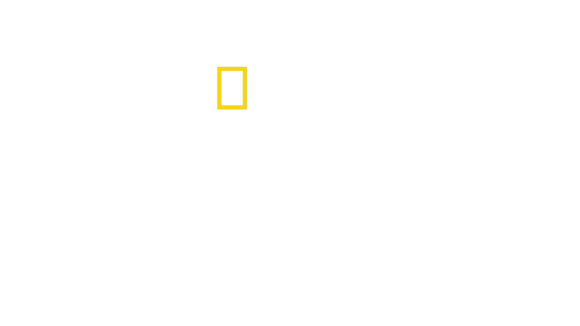 Şempanzelerin Dünyası
