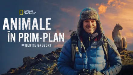thumbnail - Animale în prim-plan cu Bertie Gregory