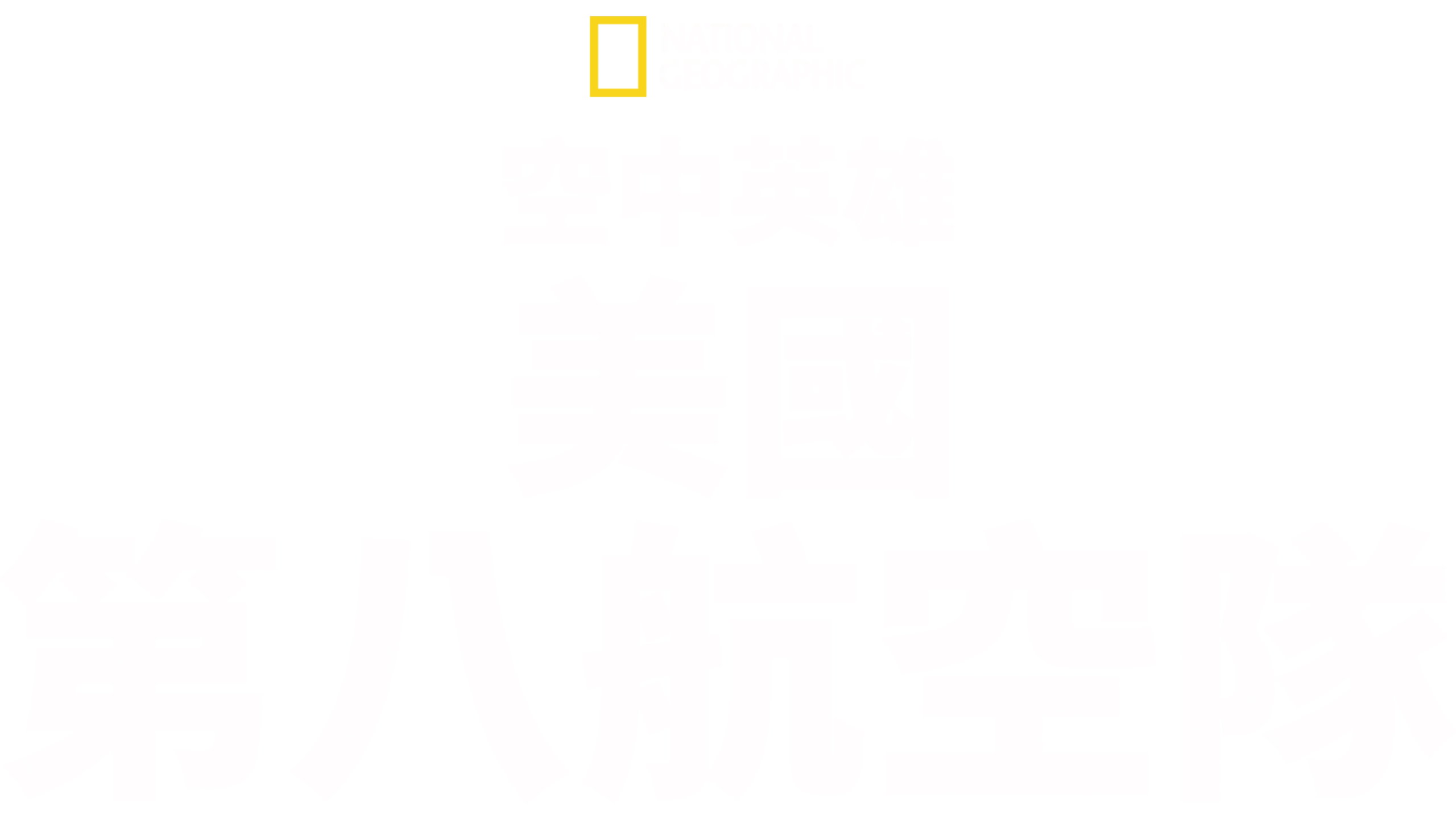 空中英雄: 美國第八航空隊