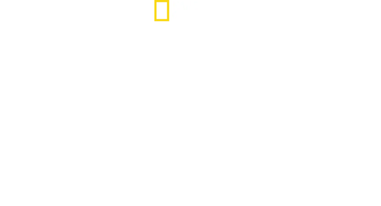 空中英雄: 美國第八航空隊