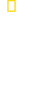 鯊魚攻擊檔案