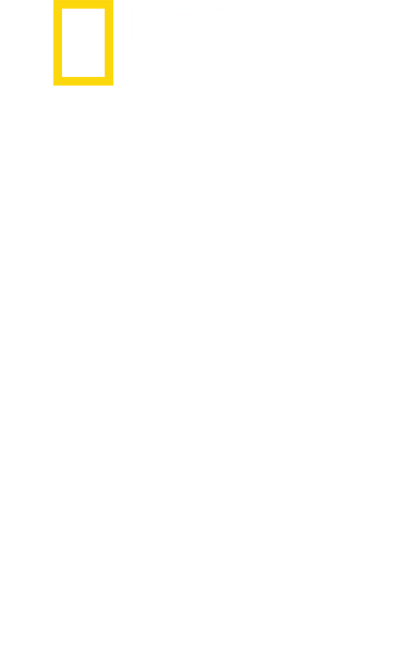 鯊魚攻擊檔案