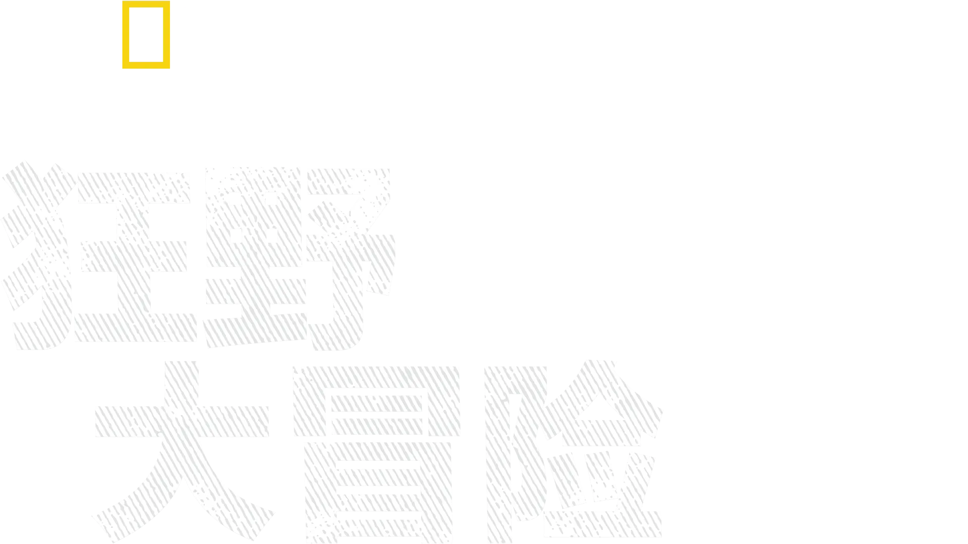 摄影师伯蒂的狂野大冒险