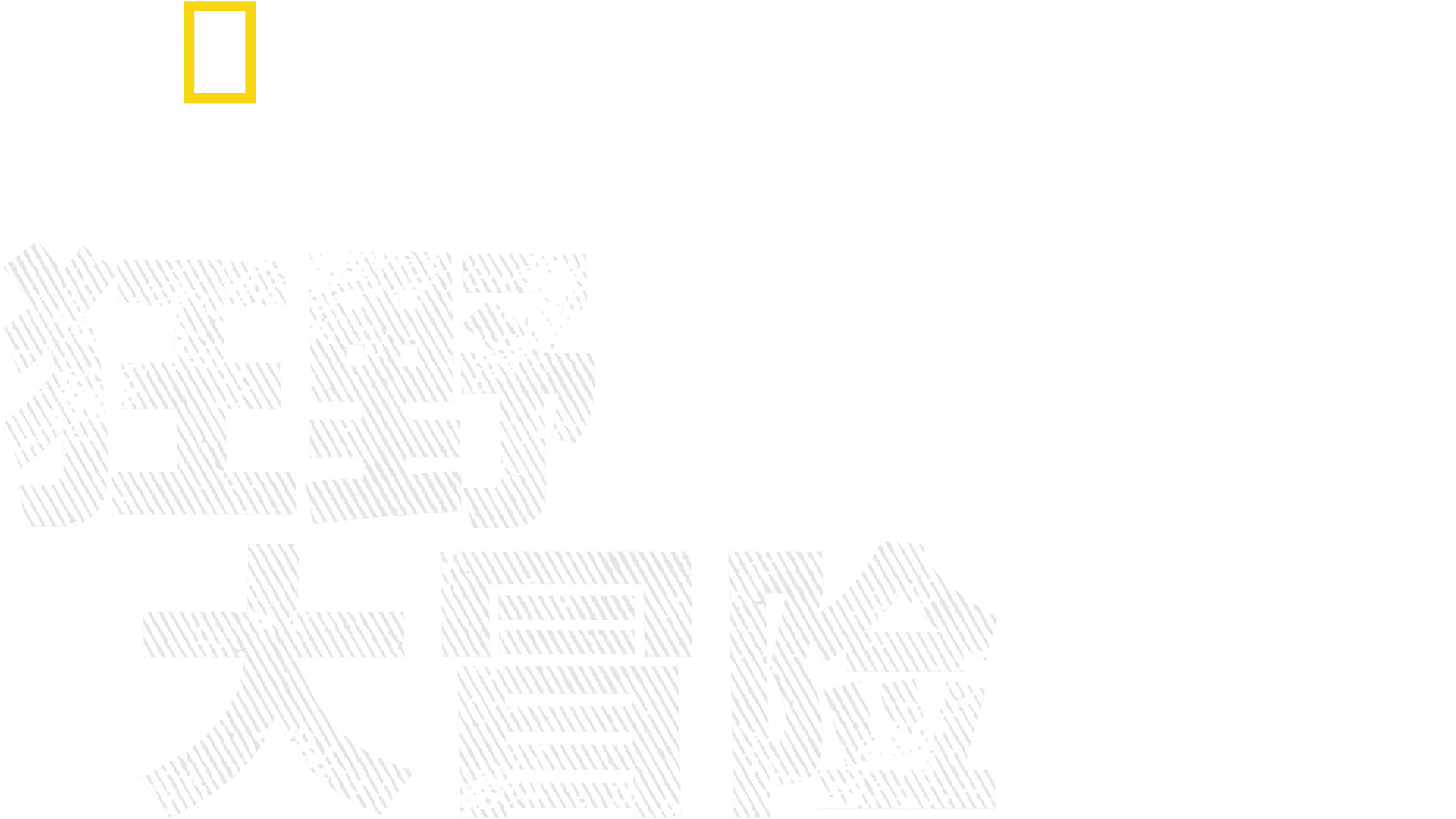 摄影师伯蒂的狂野大冒险