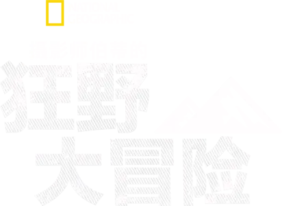 摄影师伯蒂的狂野大冒险