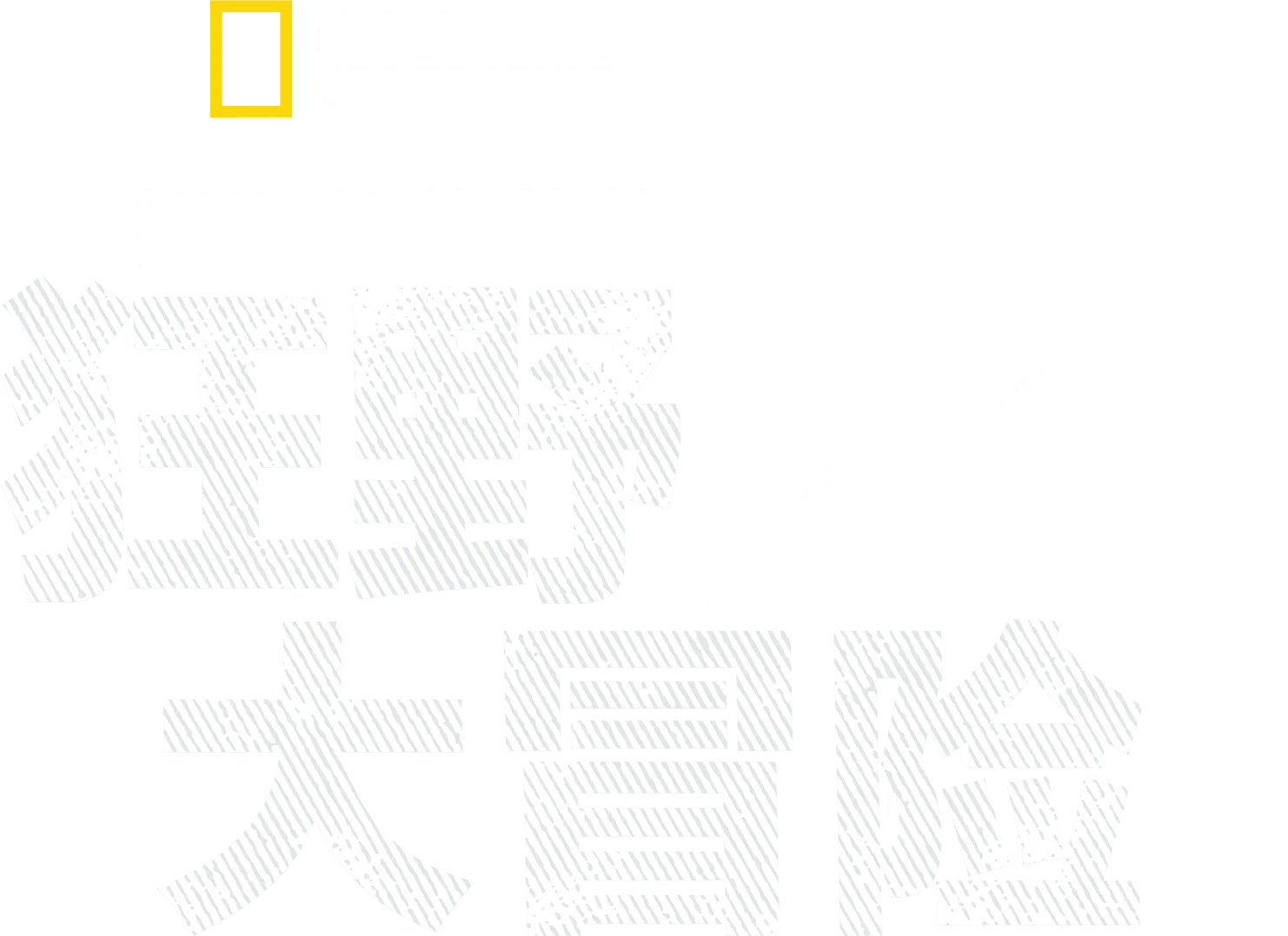 摄影师伯蒂的狂野大冒险