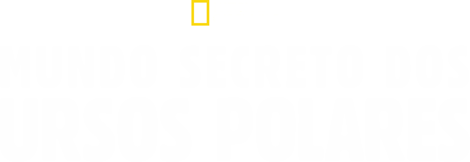 Mundo Secreto dos Ursos Polares