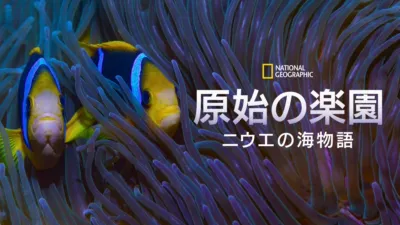 原始の楽園：ニウエの海物語