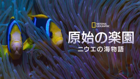 thumbnail - 原始の楽園：ニウエの海物語