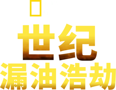世纪漏油浩劫