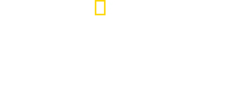 Žraločia olympiáda