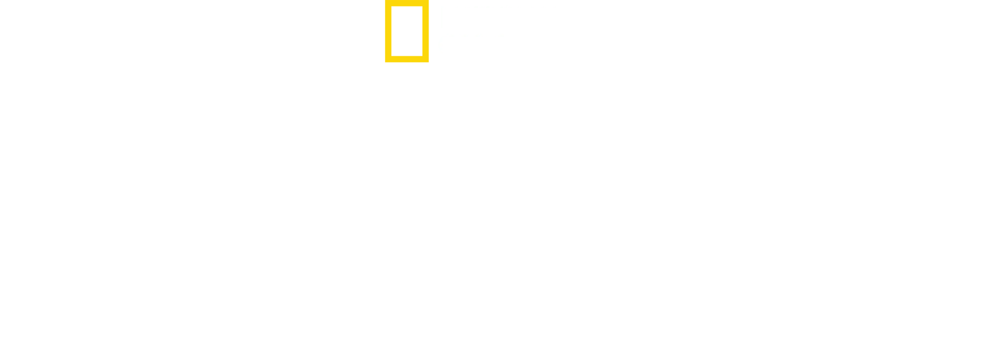 Žraločia olympiáda