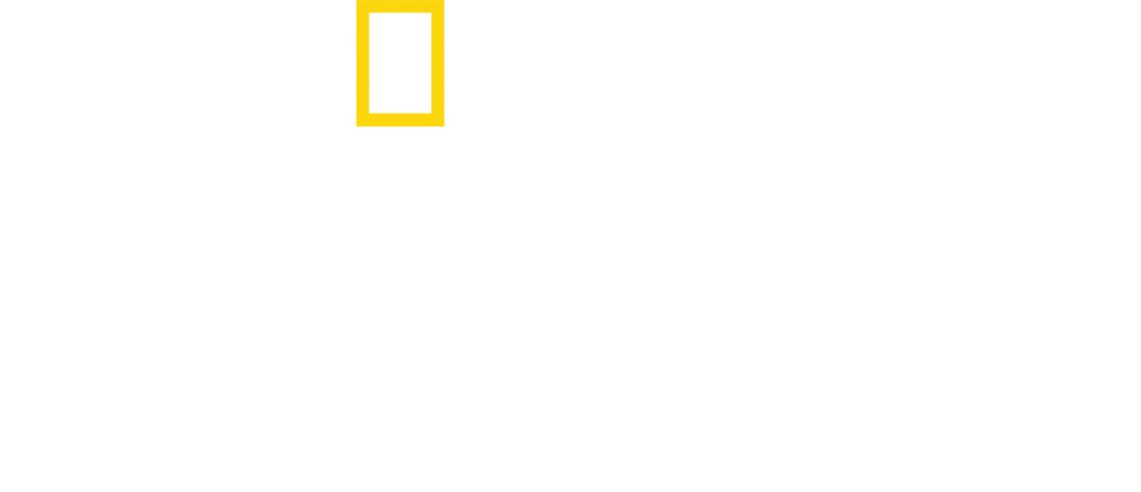 地下黑市